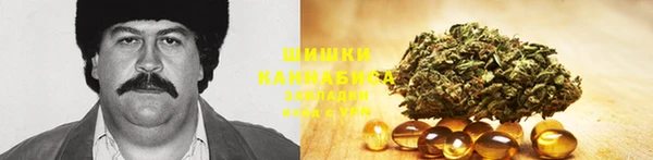 стафф Магадан