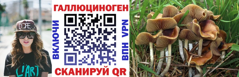 где найти наркотики  Балашиха  Псилоцибиновые грибы мухоморы 