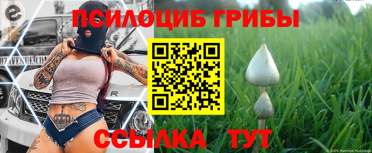 Псилоцибиновые грибы прущие грибы  Галлюциногенные грибы Magic Shrooms  Балашиха  закладка  Вход с VPN 
